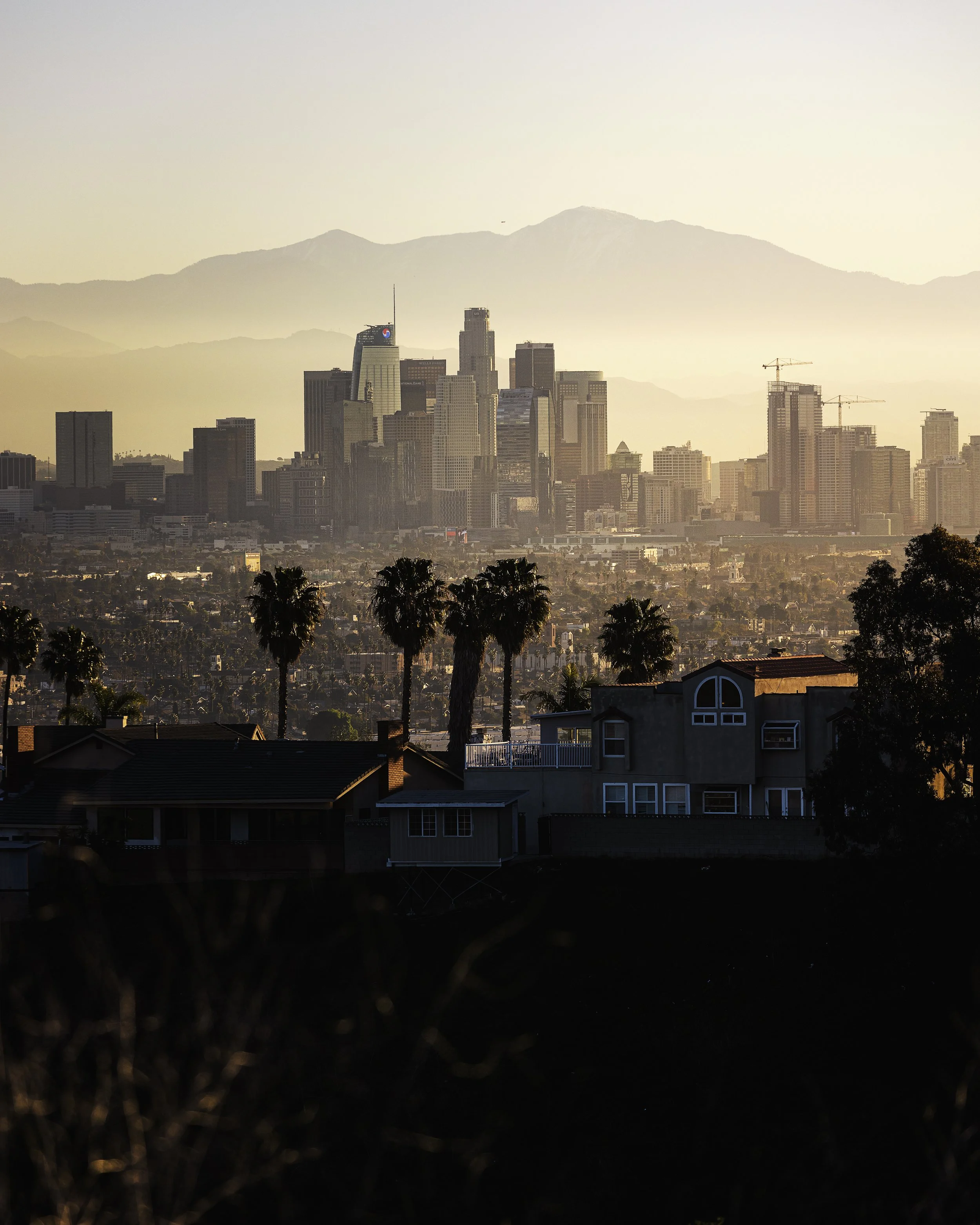 DLTA from Kenneth Hahn.jpg