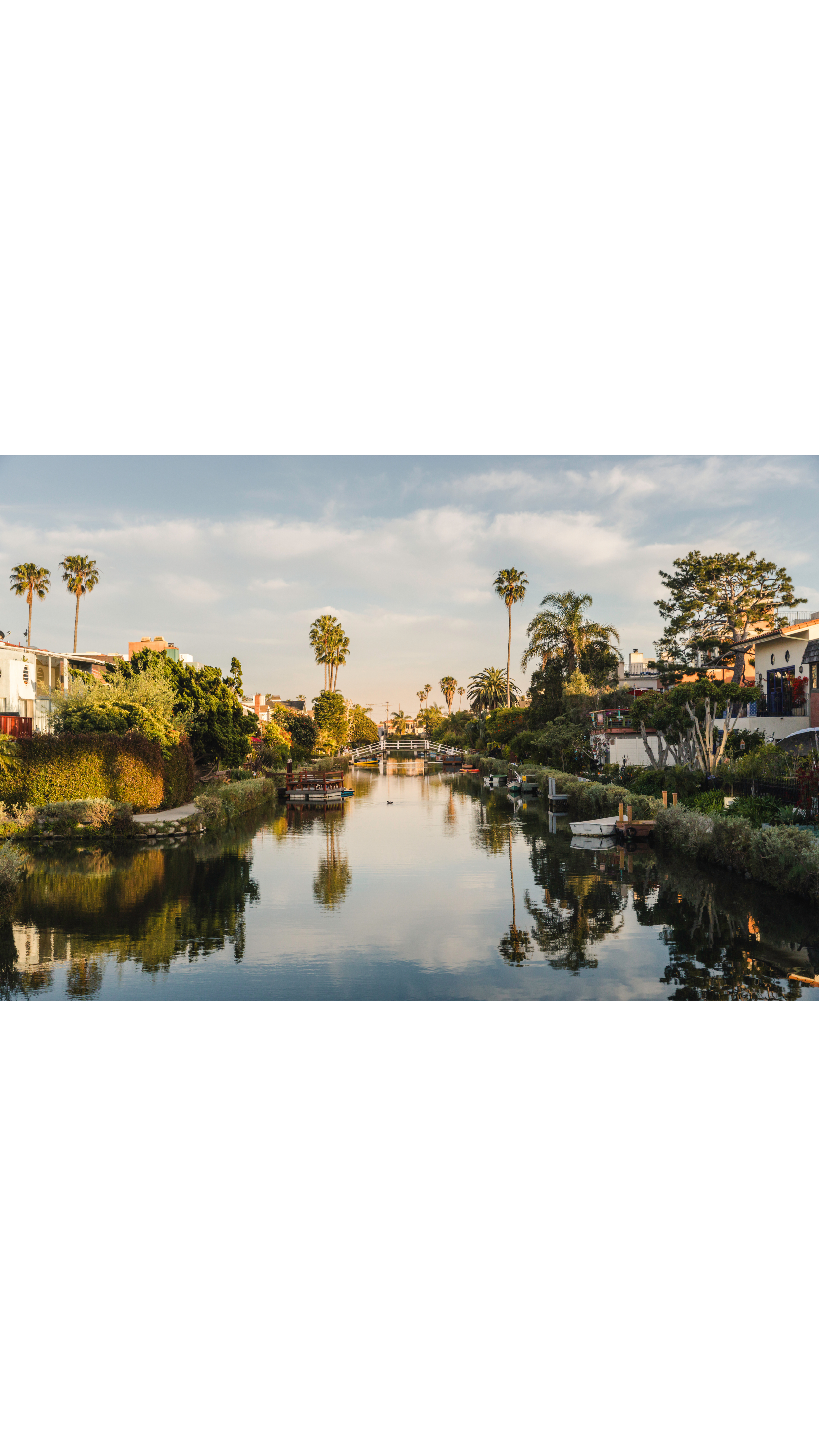 Untitled design-11.png