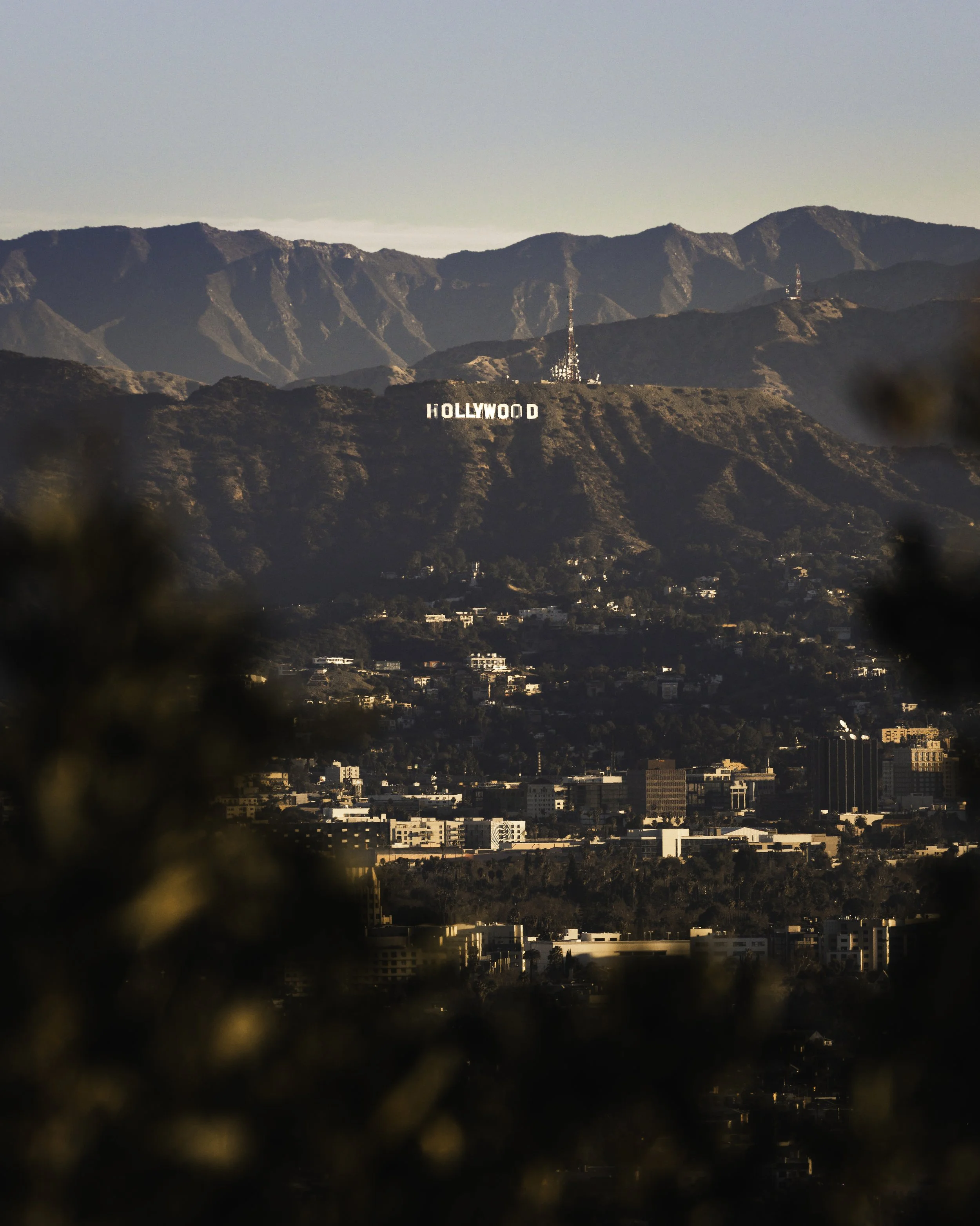 Hollywood Sign .jpg