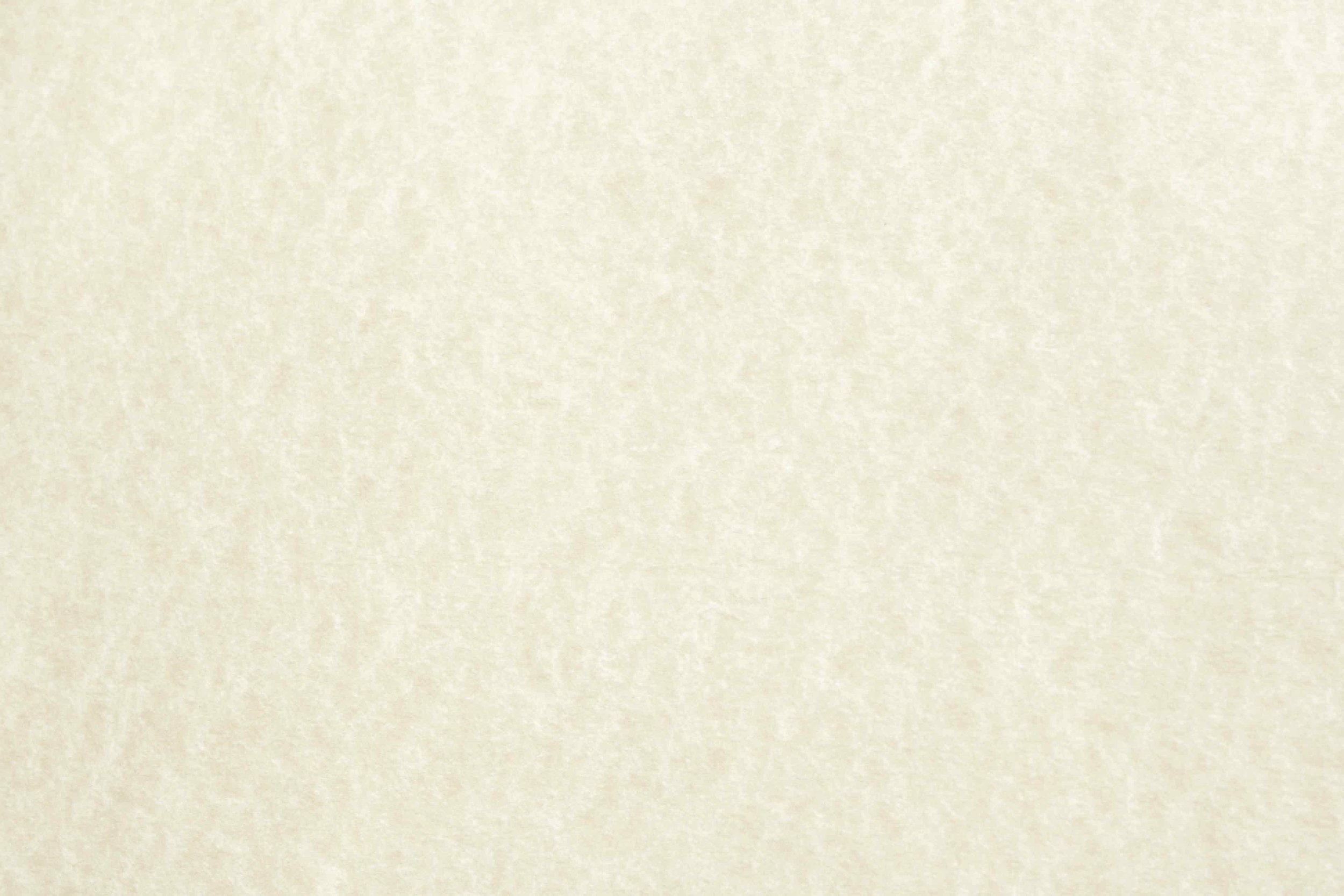 parchment-paper-light-texture2.jpg