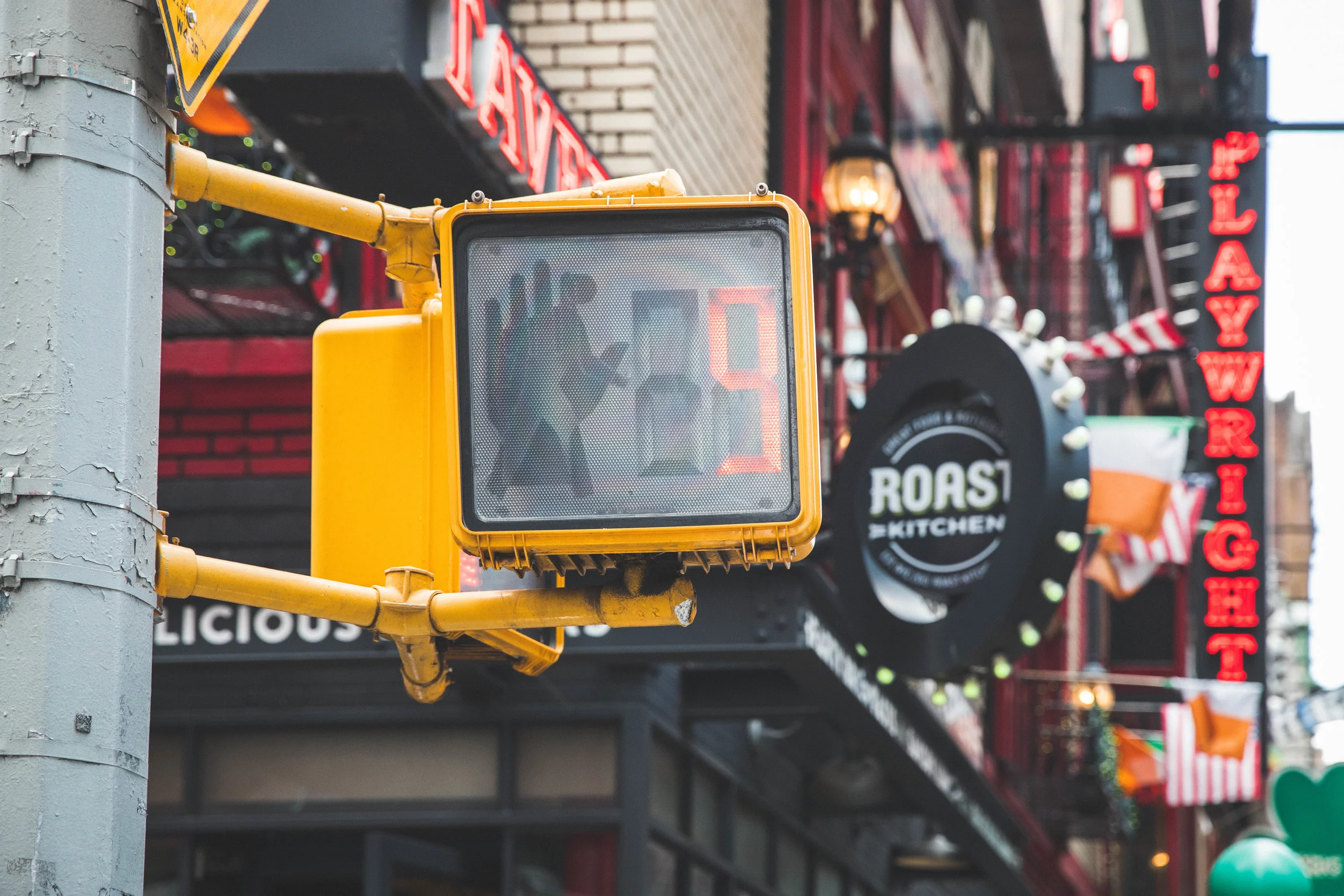 6 New Siblings in Less Than a Year