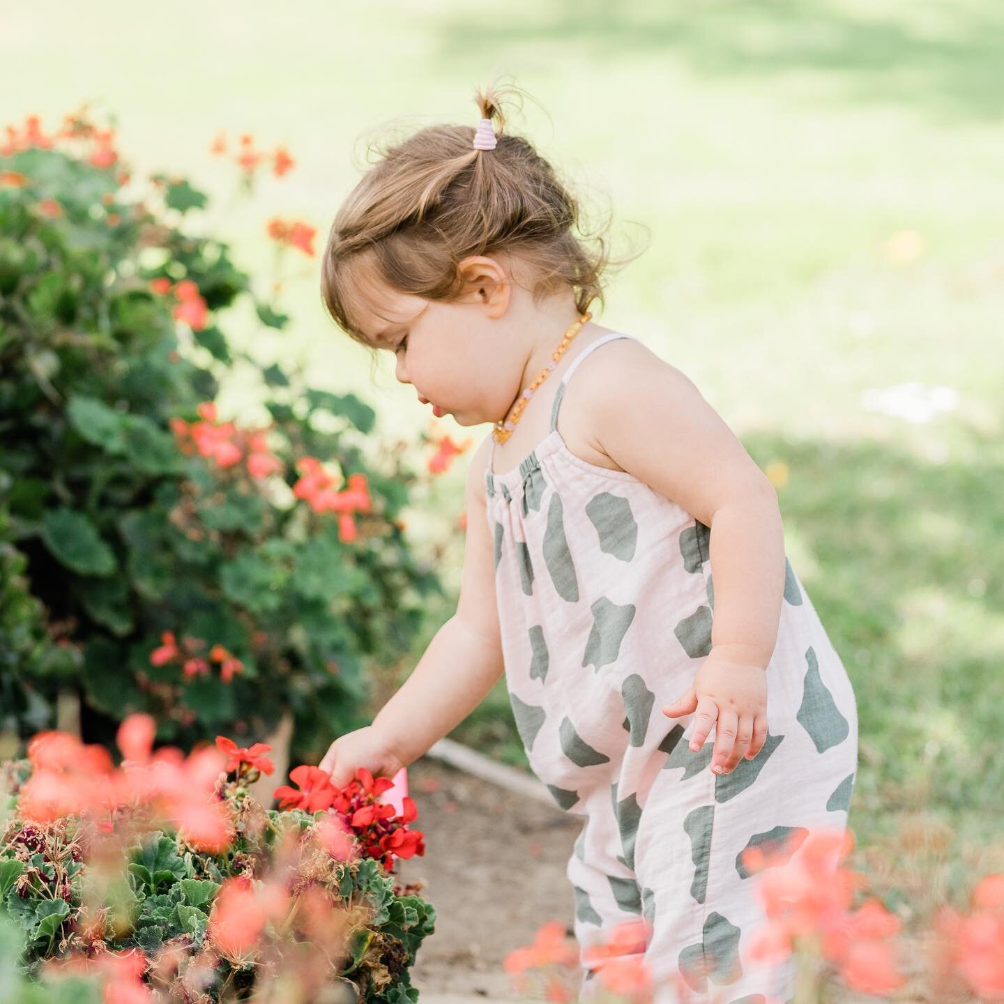 Appreciate the small { and big } things in your life.

We are grateful for how much our smart + beautiful + generous + kind girl teaches us on a daily basis. No flower goes un-smelled. No rock goes unturned. No animal gets by without a hello and wave