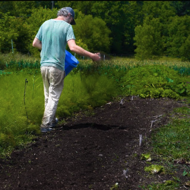 A Guide to Choosing Organic Nitrogen Amendments
