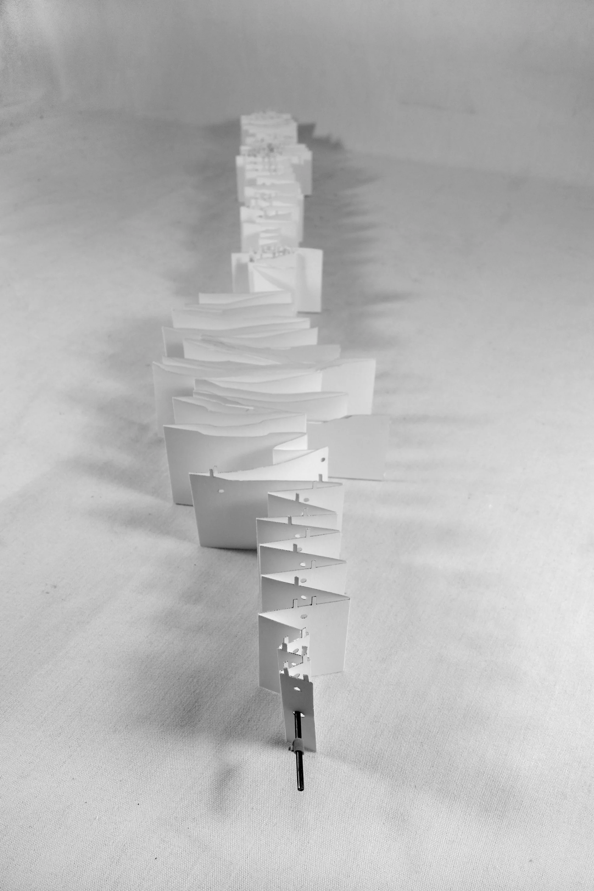 Model_BW_1.jpg