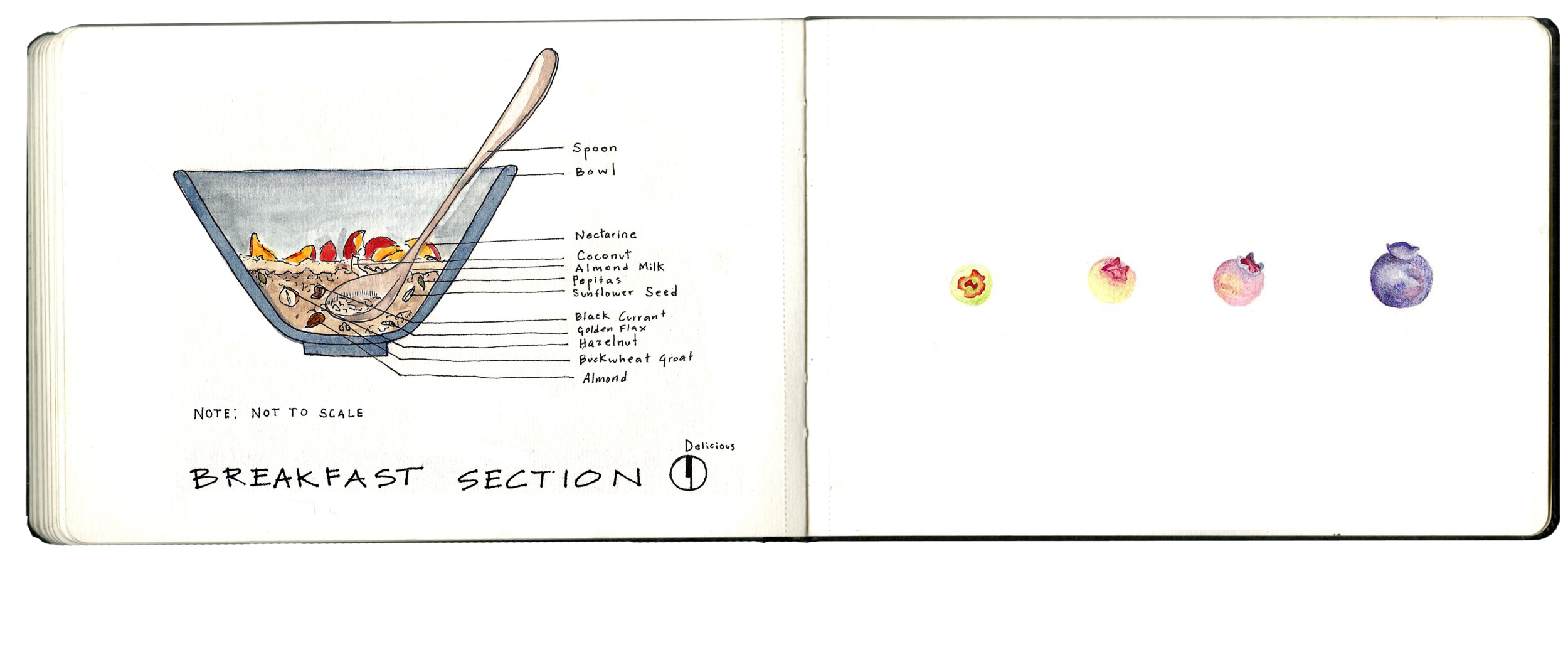 sketchbook2.png