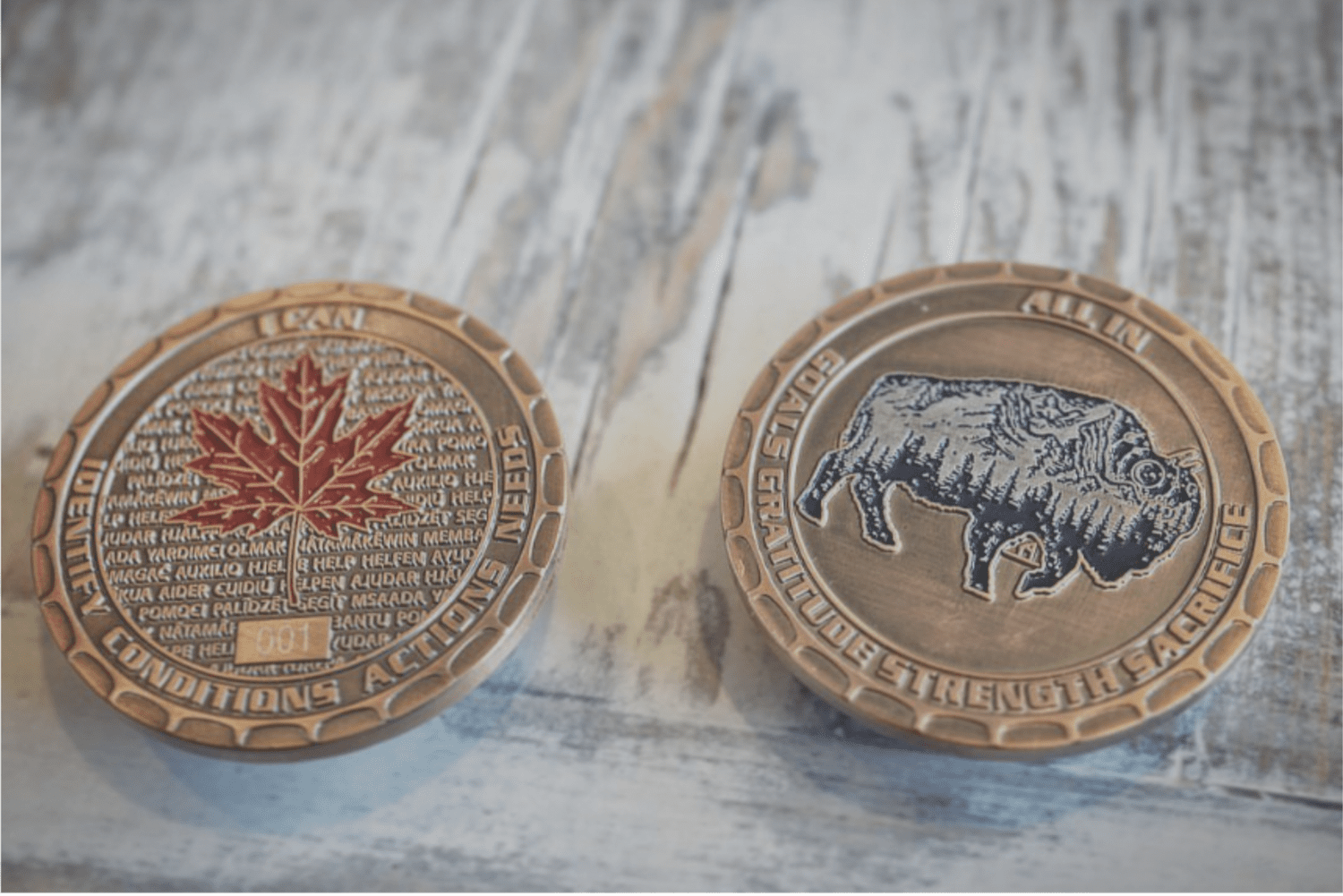 What We Do — Project All In