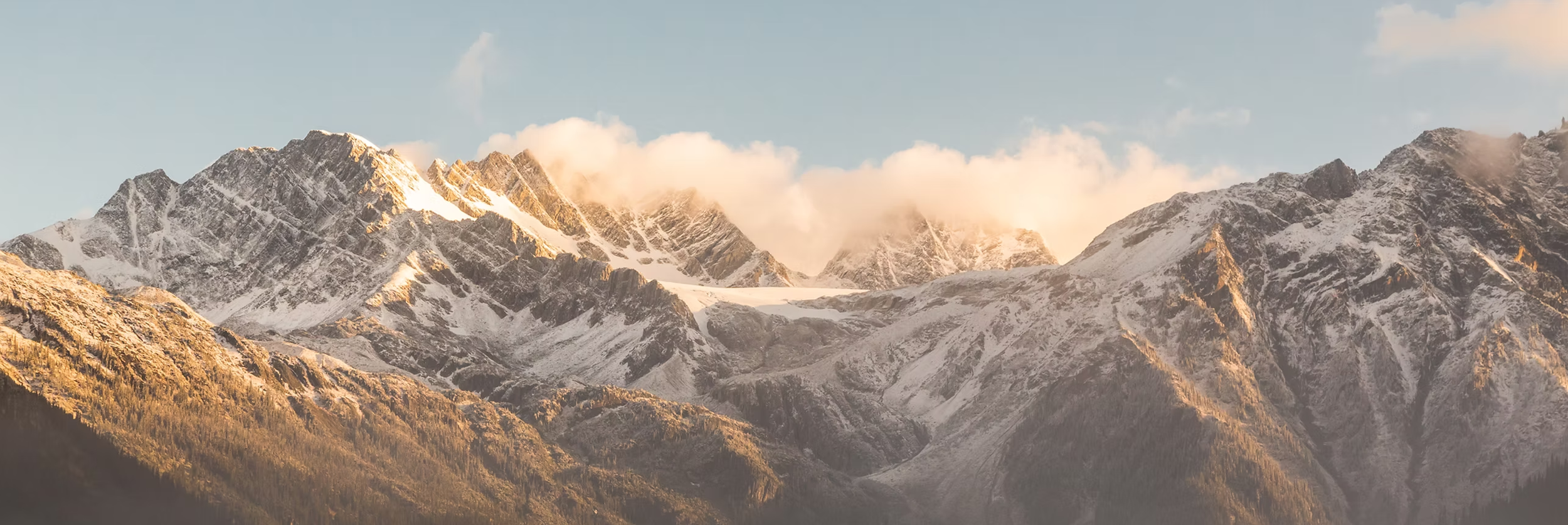 Screen Shot 2026-02-14 at 11.33.51 AM.png