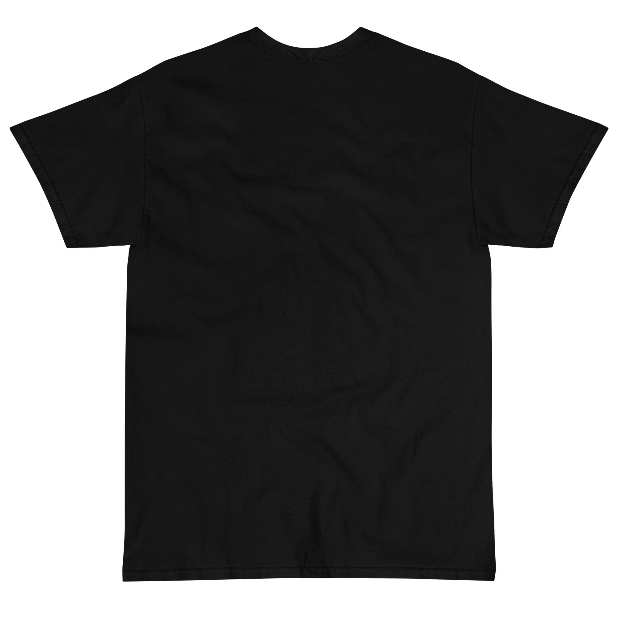 mens-classic-t-shirt-black-back-632a1d326f43a.jpg