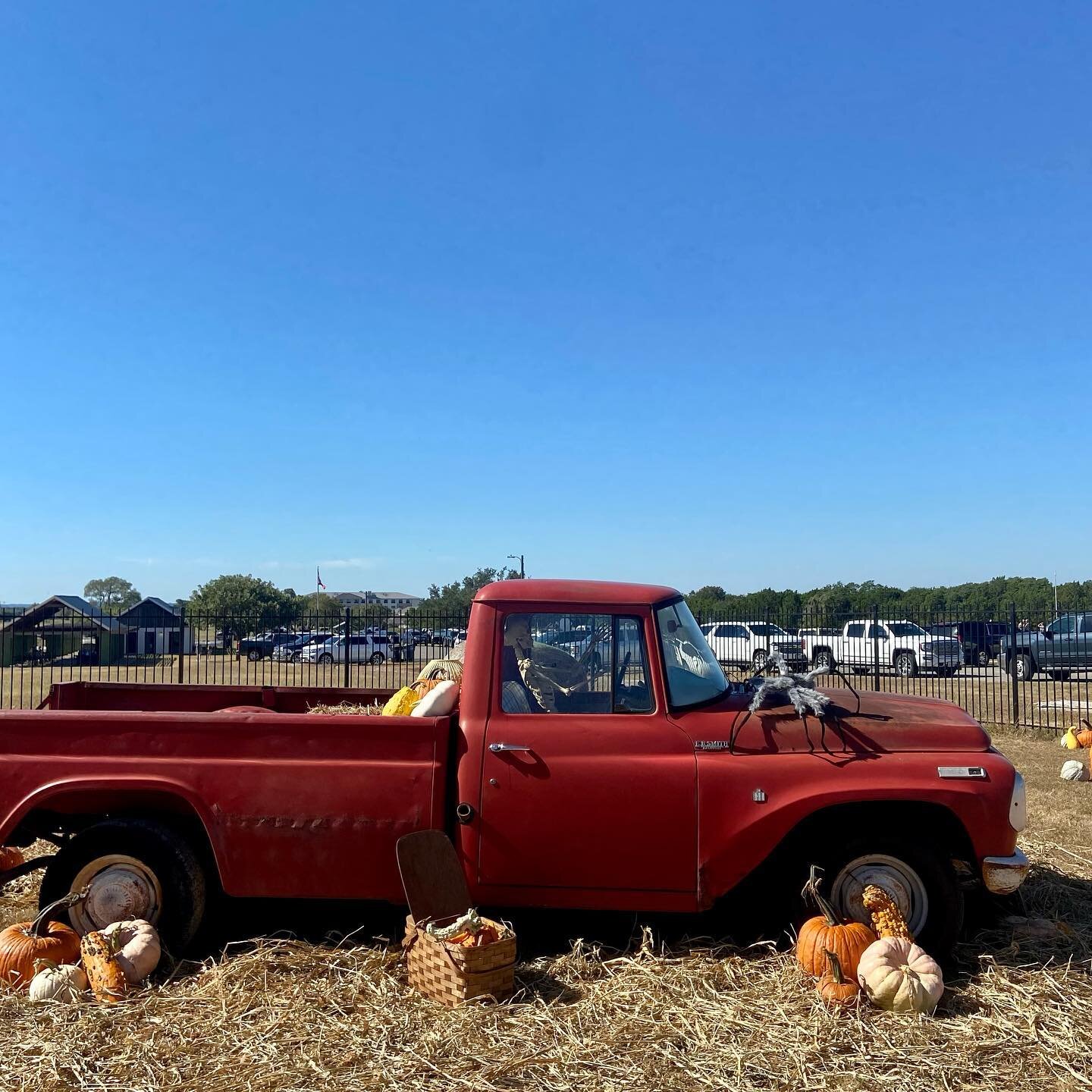 The @drippingspringspumpkinfest is now open! Come pick your pumpkin and take advantage of the amazing photo ops all over our historic site on the Farmstead!
#pumpkinpatch 
#fallphoto 
#drippingsprings