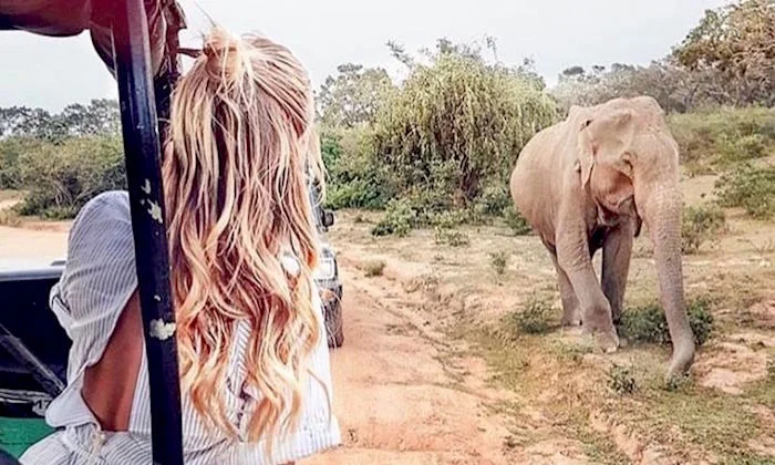 best-safaris-africa.jpg
