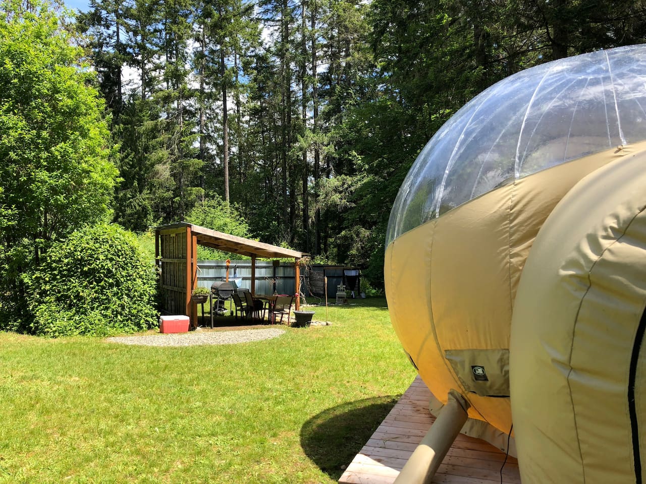 Bubble Huts LLC_Washington State_Summer Blaze 3.jpg