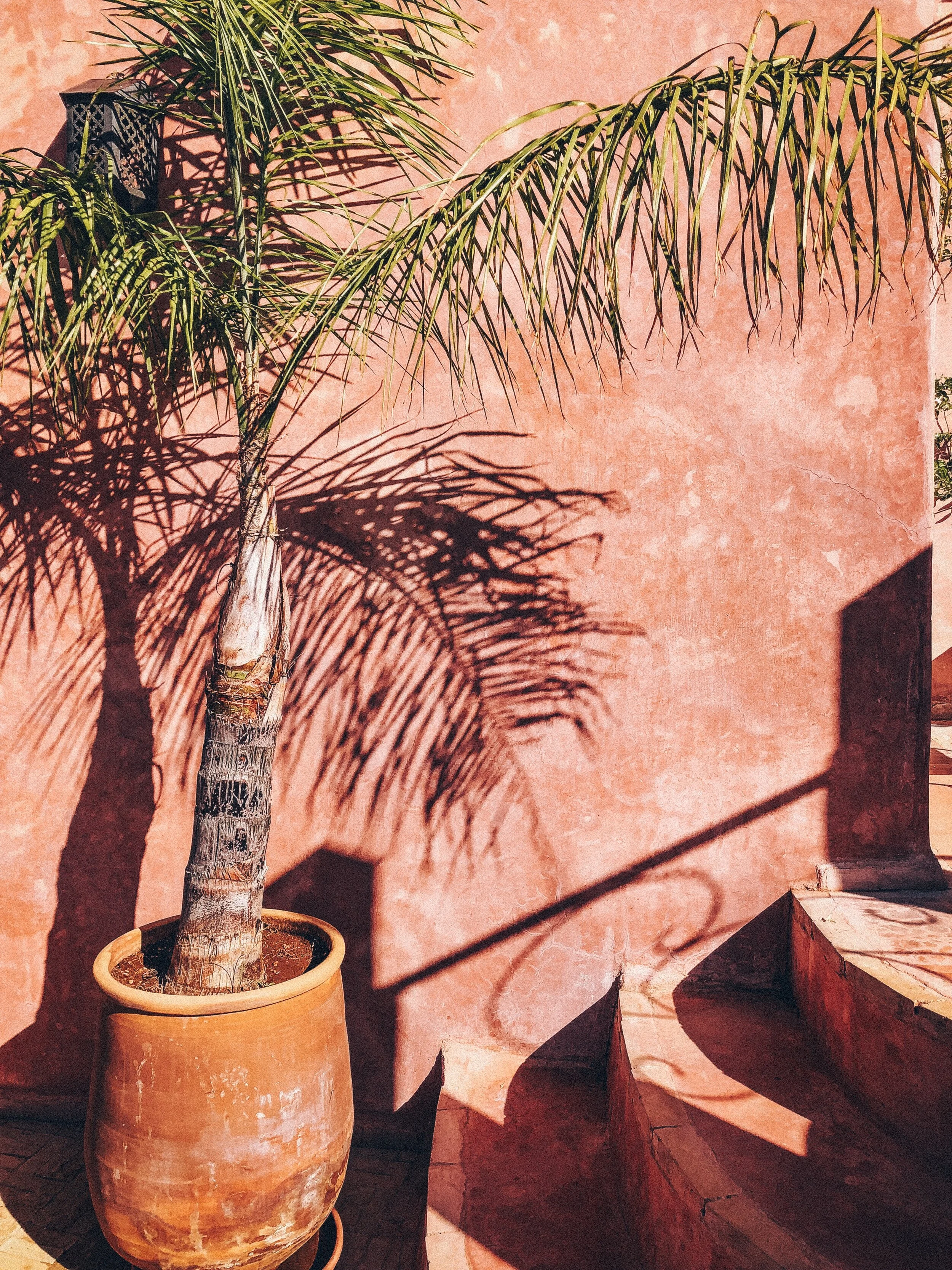 Moroccan Print Photography