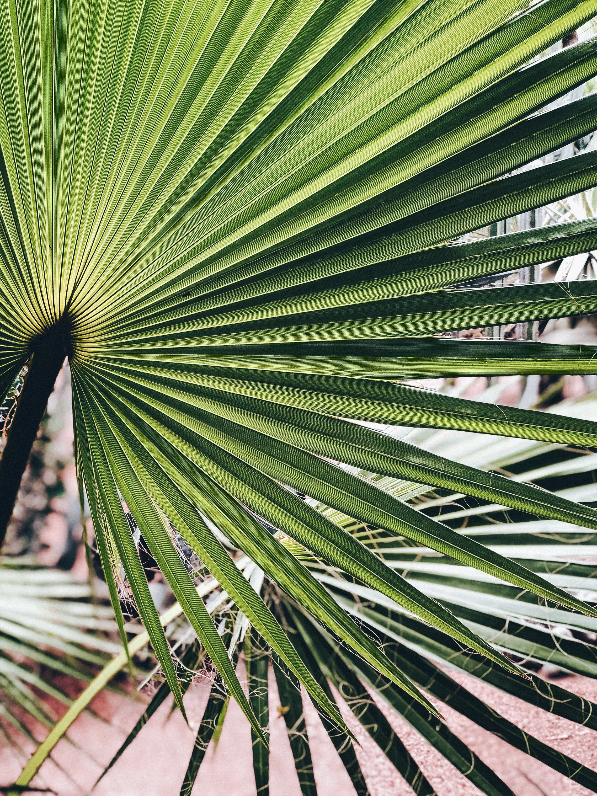 Moroccan Print Photography