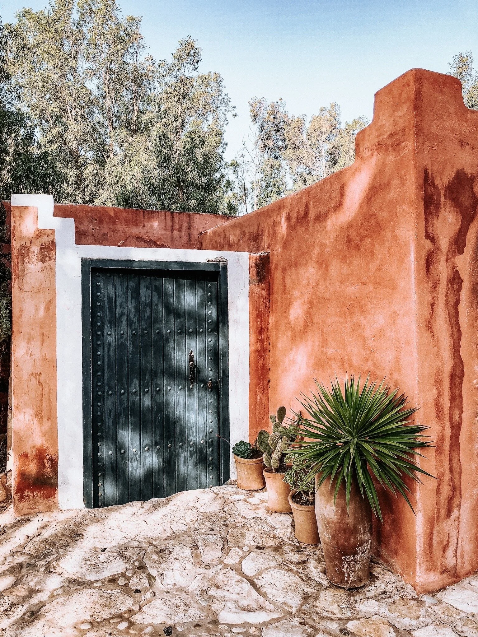 Moroccan Print Photography