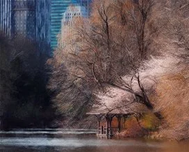 Spring in Central Park, NYC