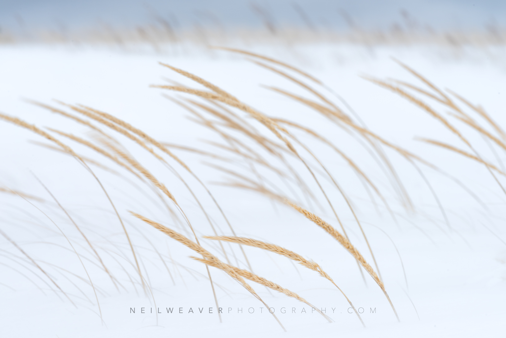 FB _DSC9482-Edit.jpg