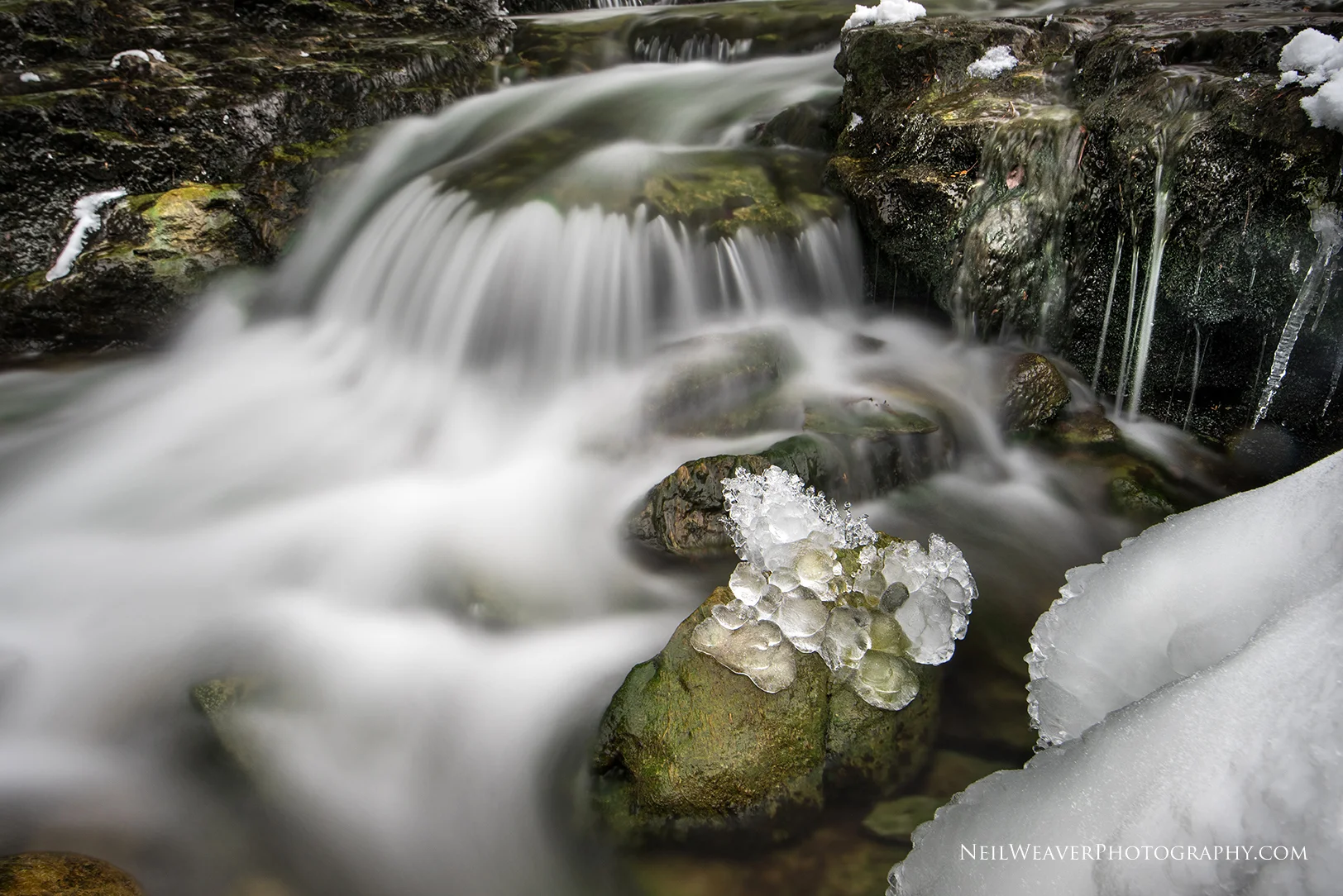 FB _DSC4866-Edit-Edit.jpg