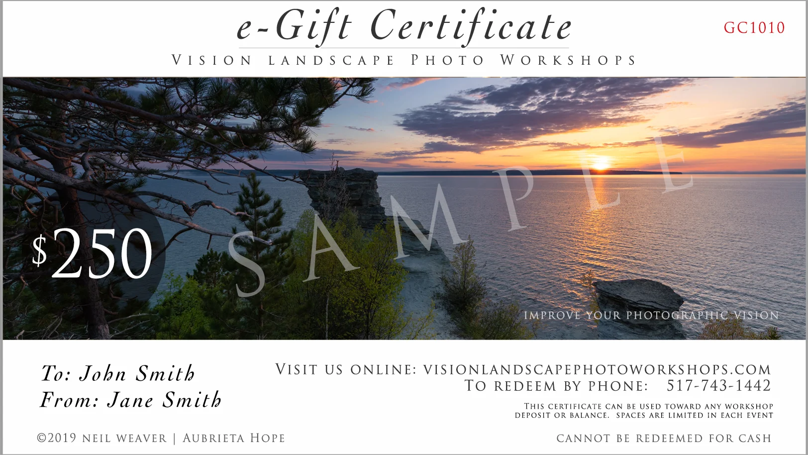 e-Gift Card VISION.jpg