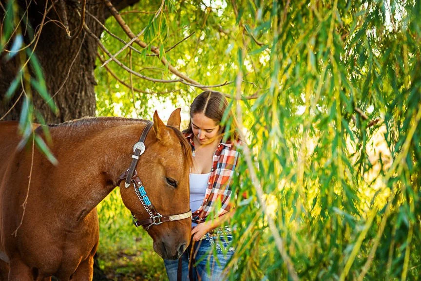 Equine Photography Fort Collins 2.jpg