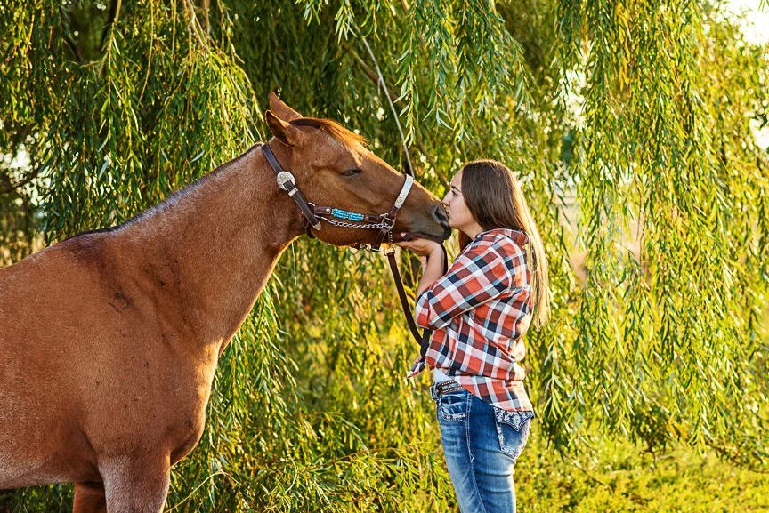 Equine Photography Fort Collins 4.jpg