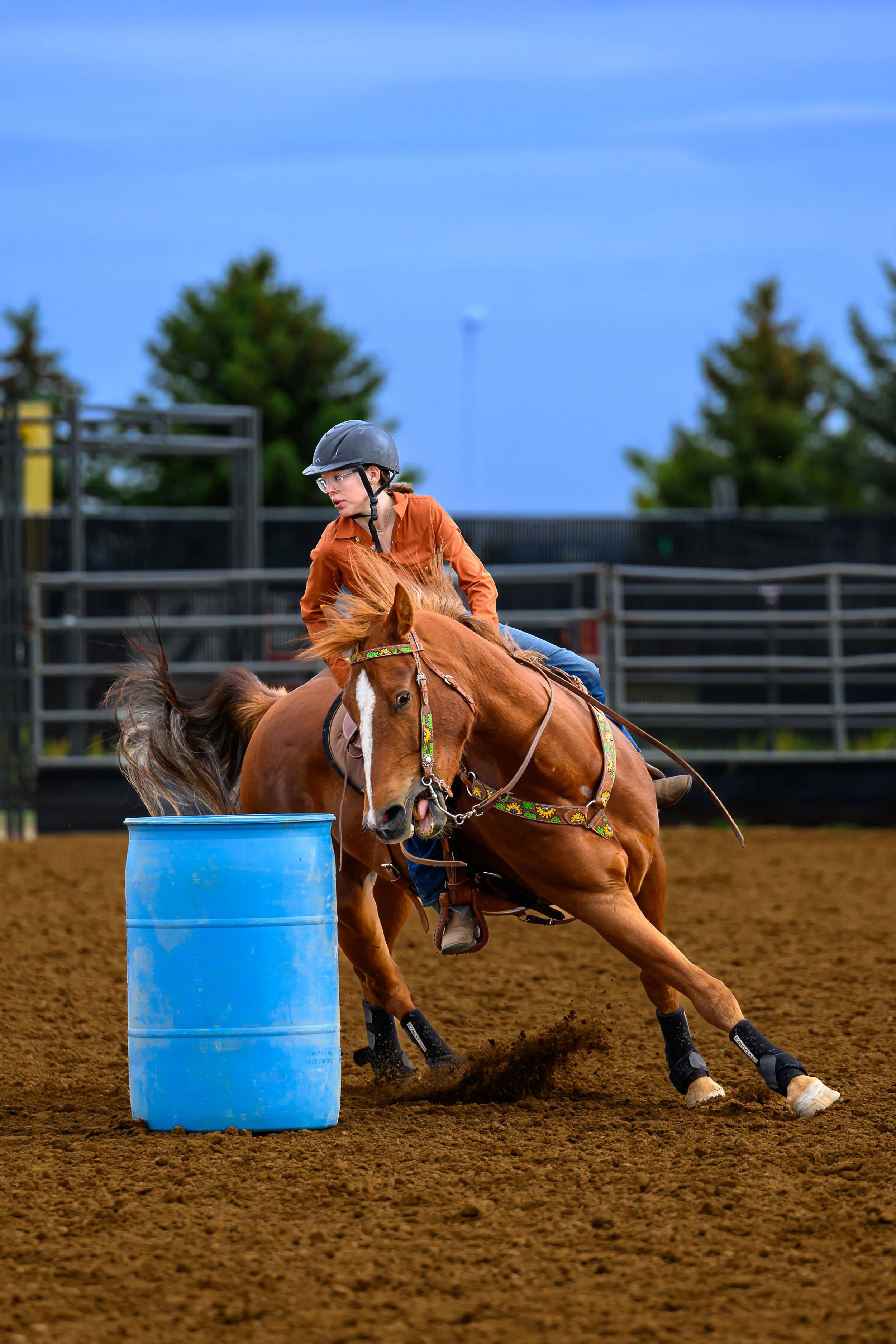 Horse Show Photography Fort Collins Colorado3.jpg