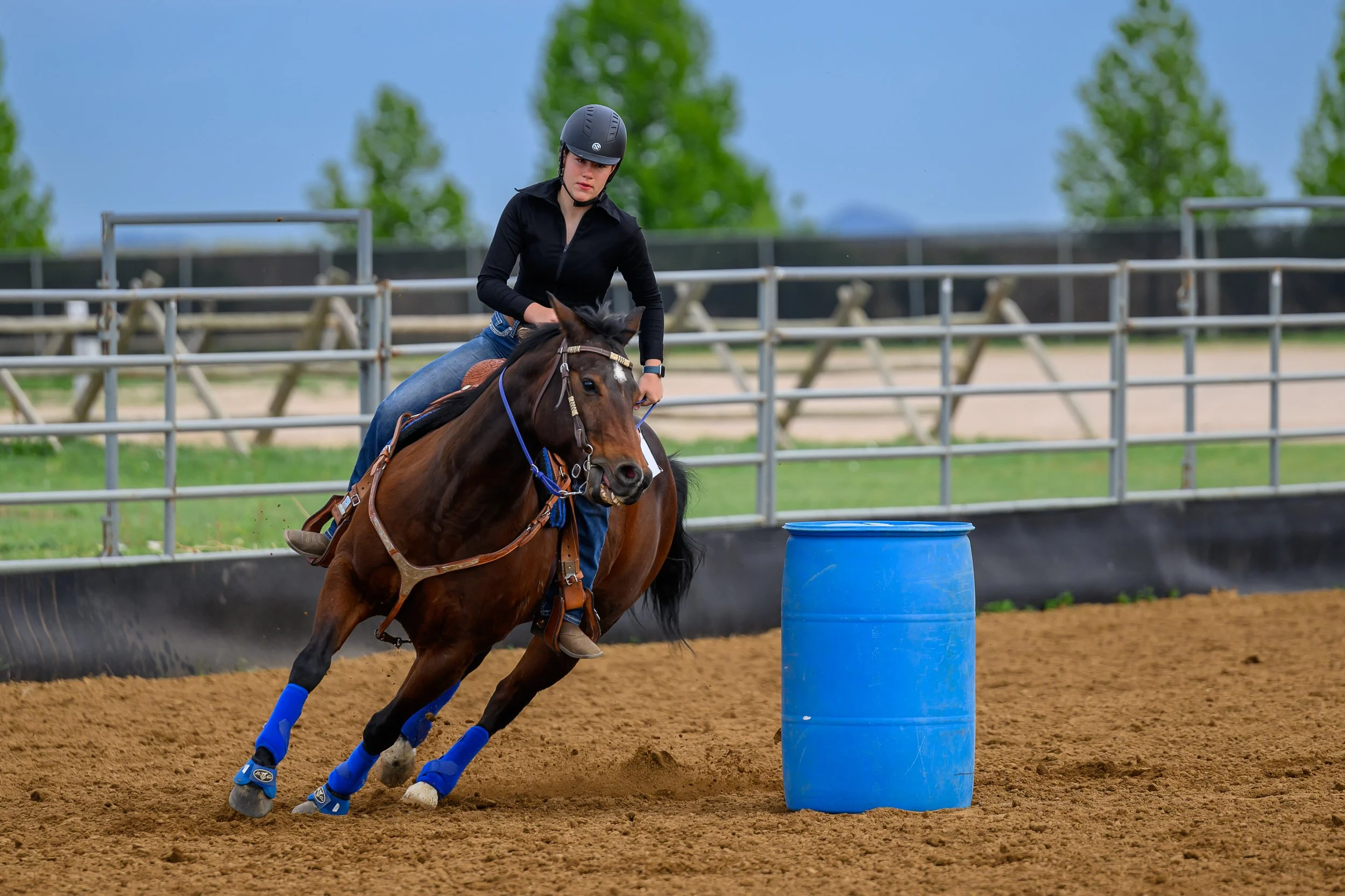 Horse Show Photography Fort Collins Colorado6.jpg