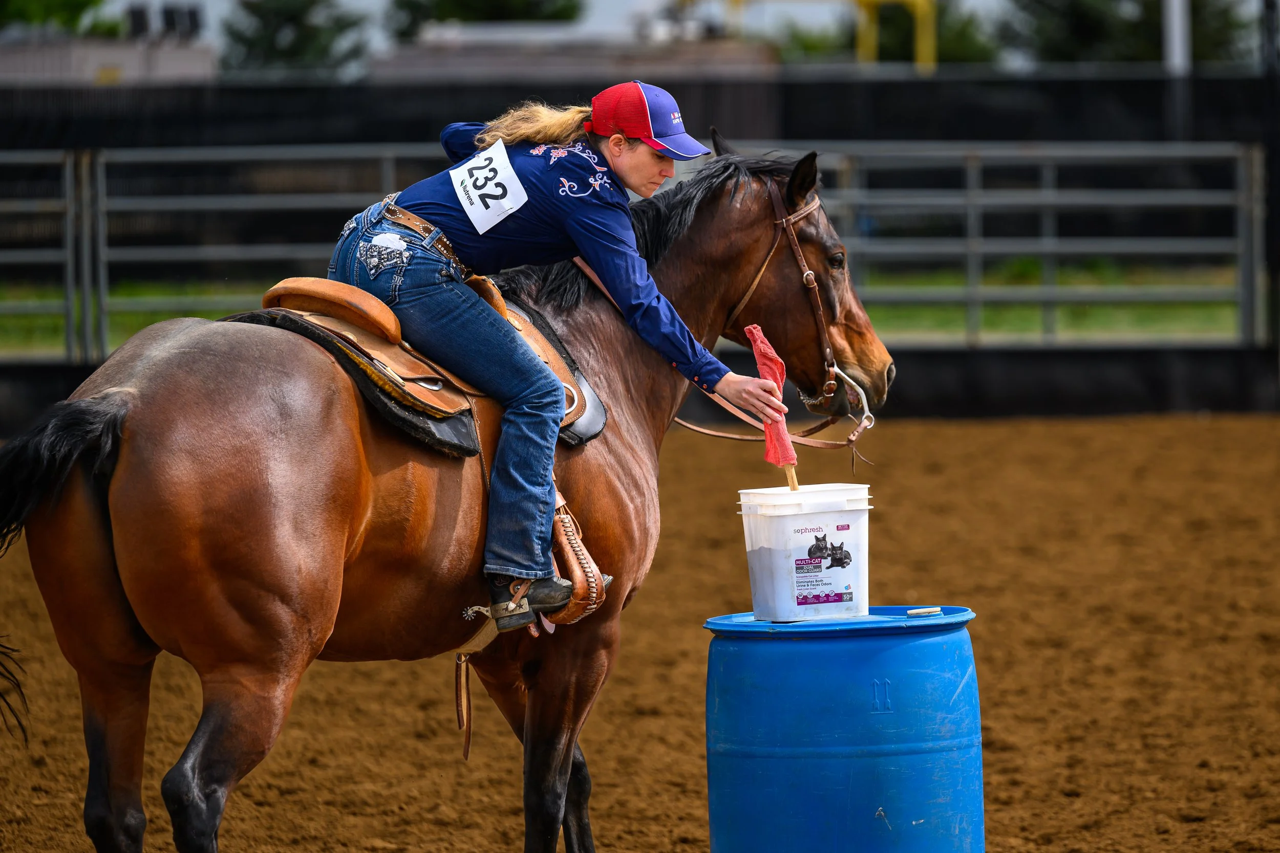 Horse Show Photography Fort Collins Colorado10.jpg