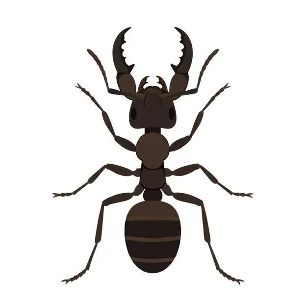 bolt-pest-ant.jpg