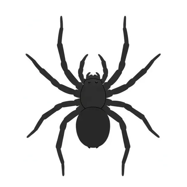 bolt-pest-spider.jpg