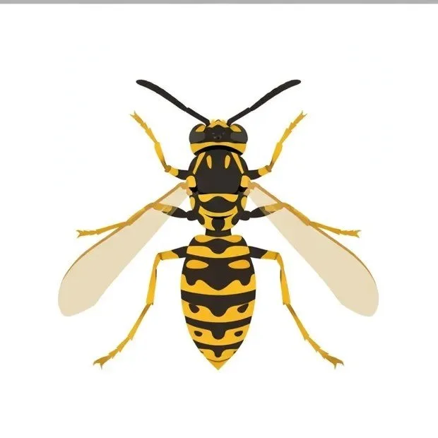 bolt-pest-wasp.jpg