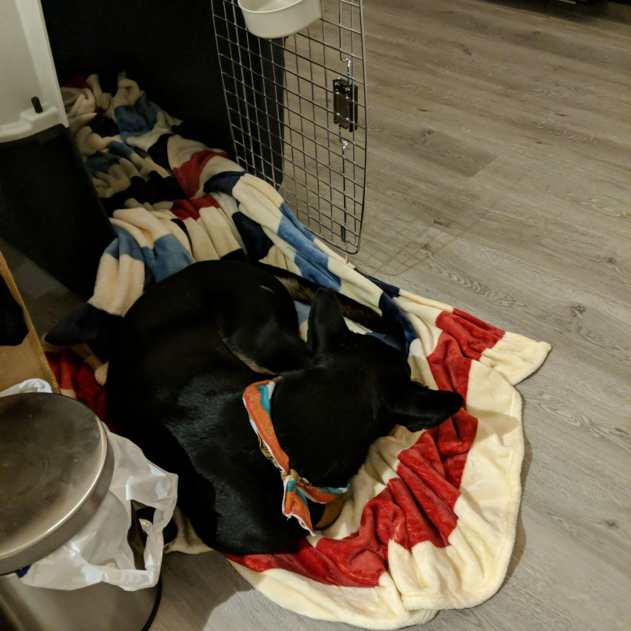 IMG-20180517-WA0000.jpeg