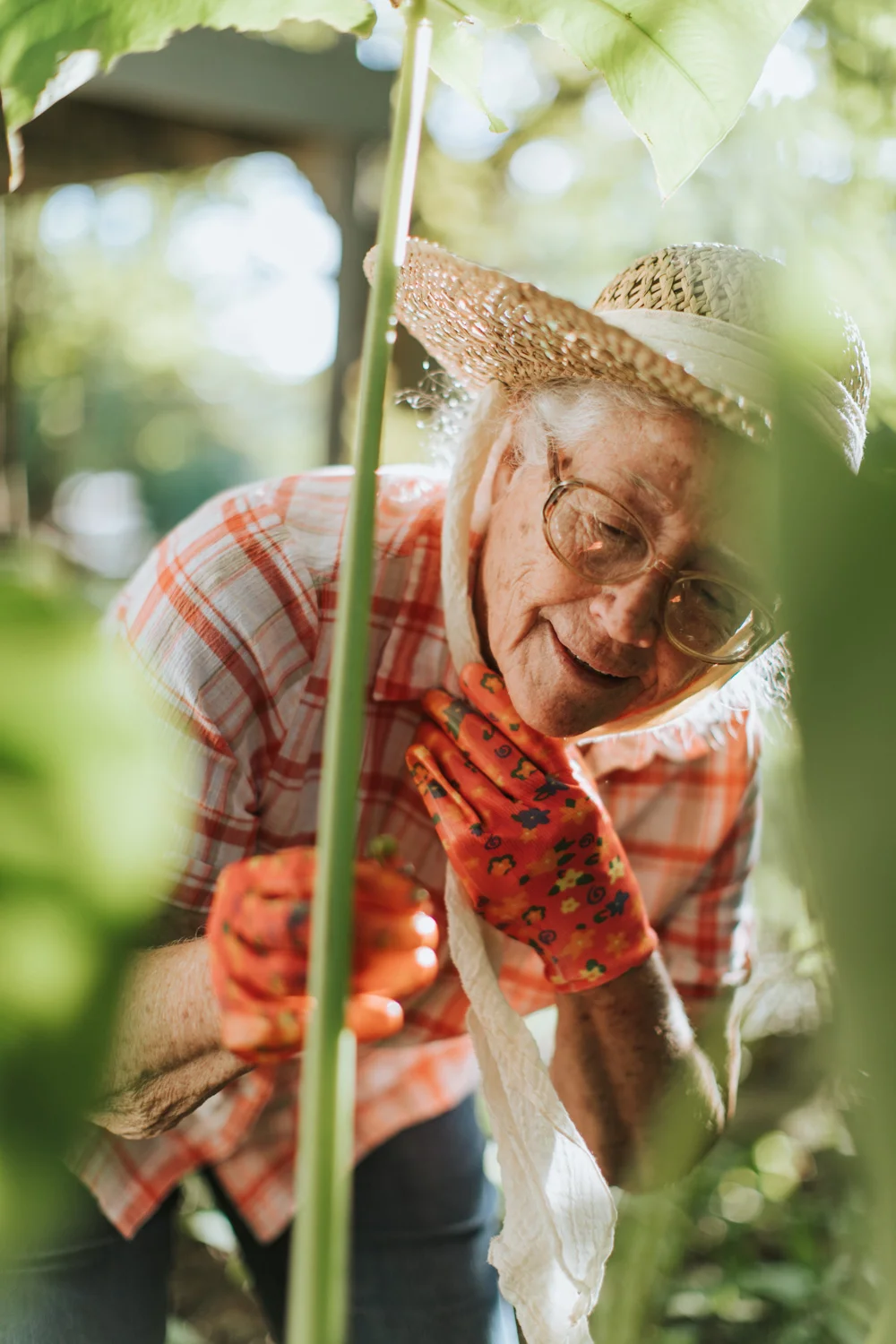 senior lady outdoors-3.jpg