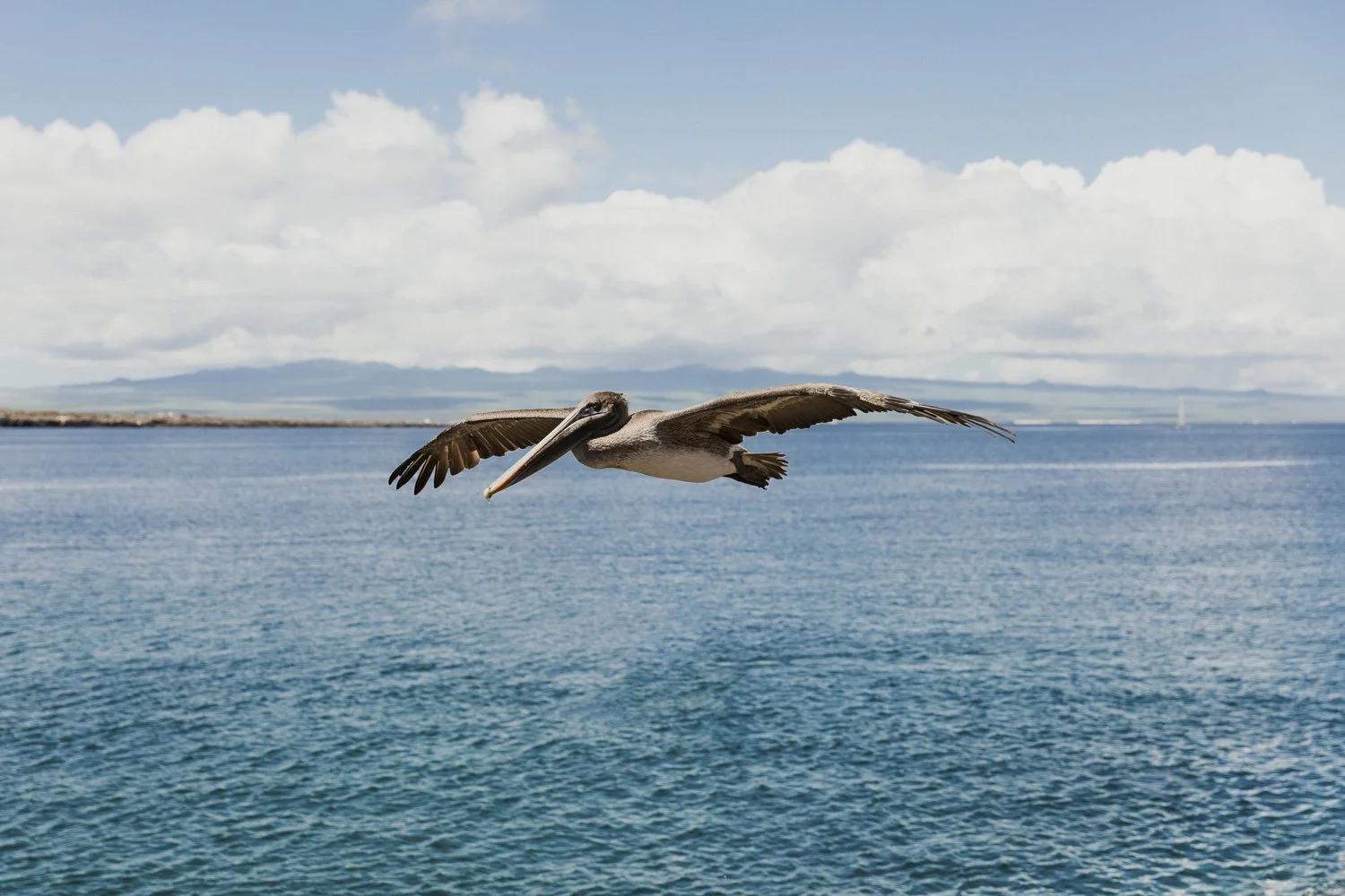 _21A6850.jpg
