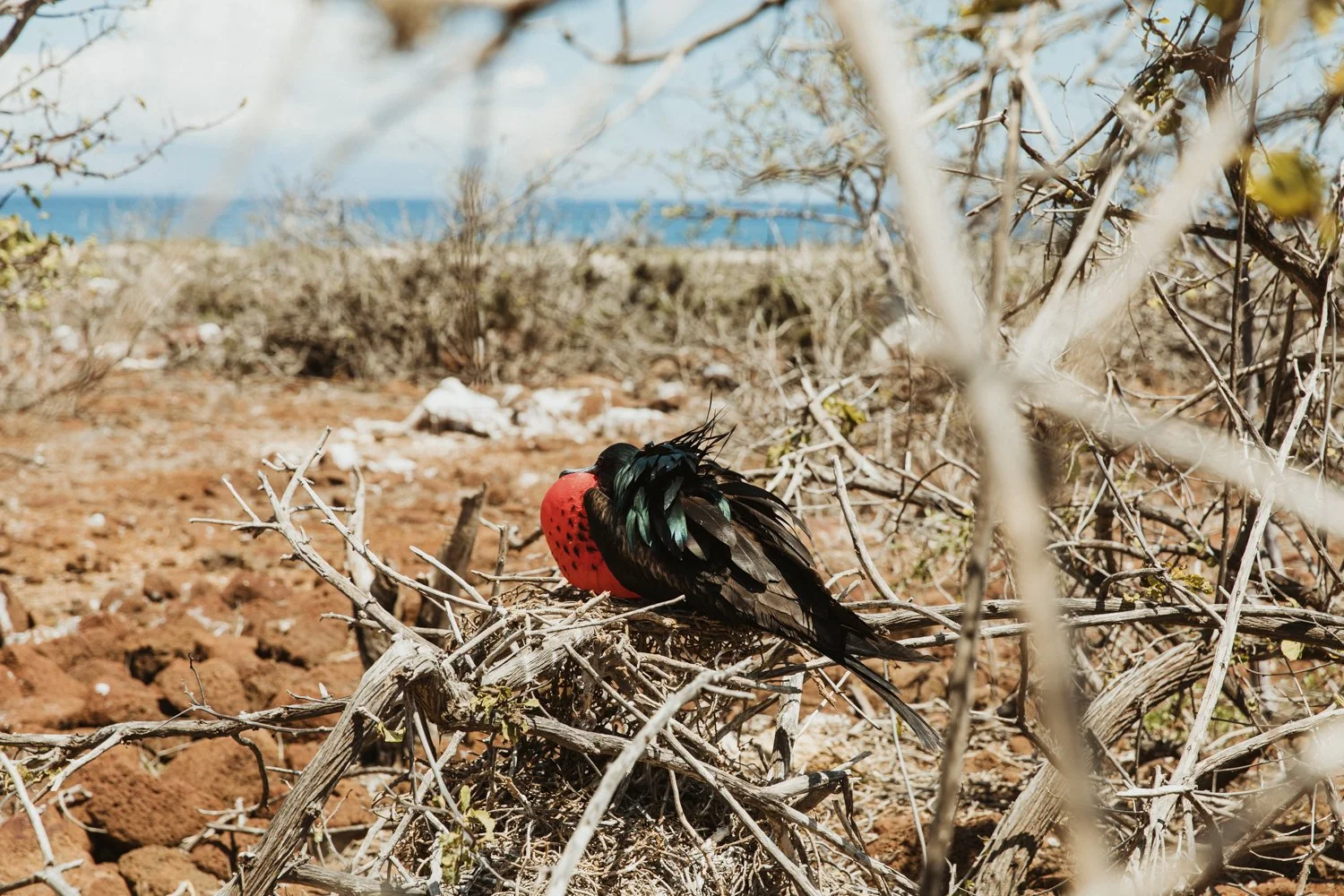 _21A7002.jpg