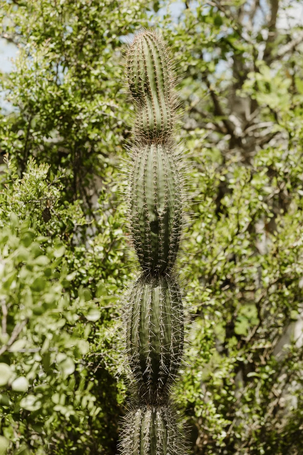 _21A8276.jpg