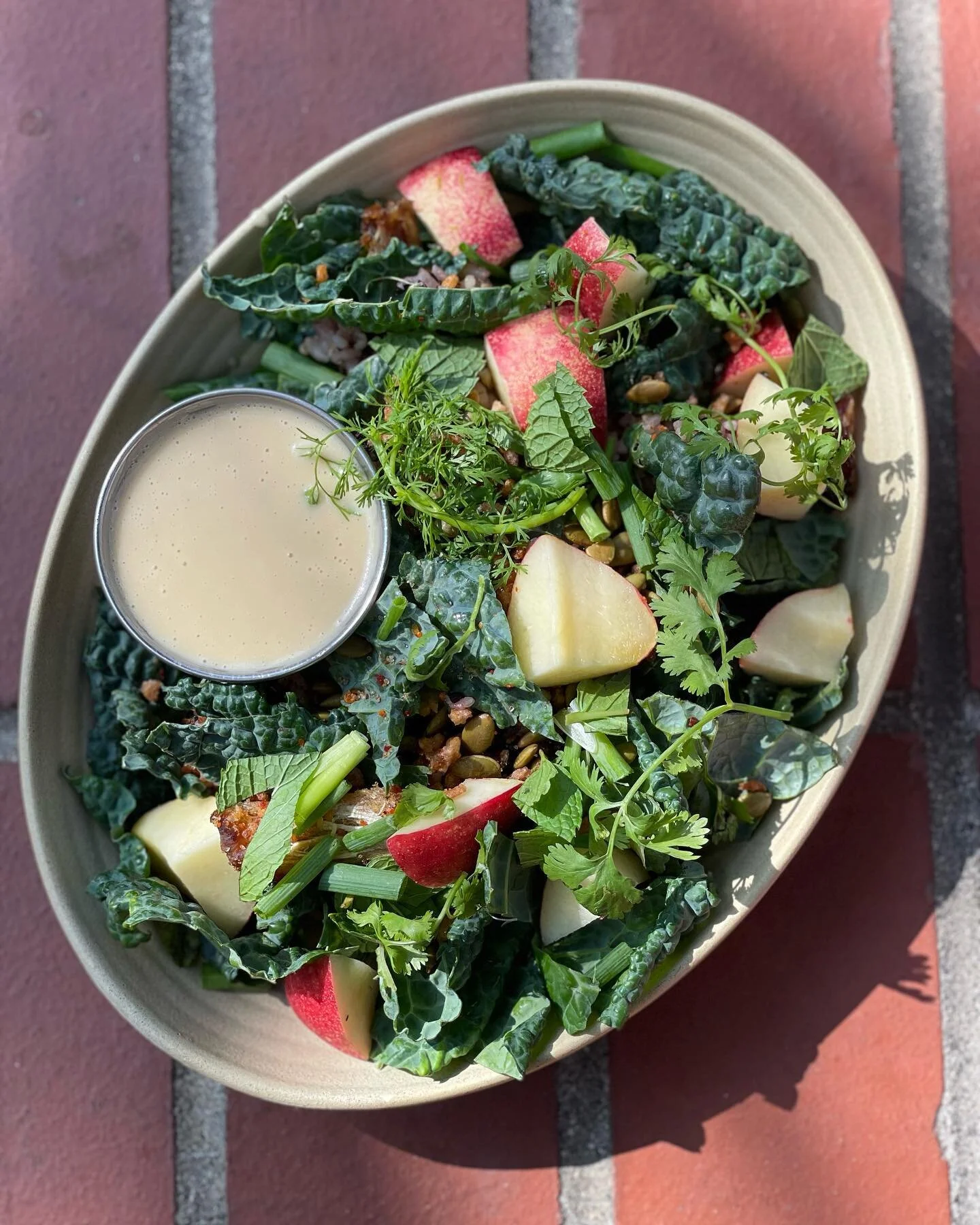 Stone Fruit season is upon us and they are unbelievable right now! 

Try some locally grown apricots, peaches, and nectarines in our new seasonal dishes and beverages! 

We have a brand new Seasonal Stone Fruit &amp; Kale Salad, Honey Semifreddo with