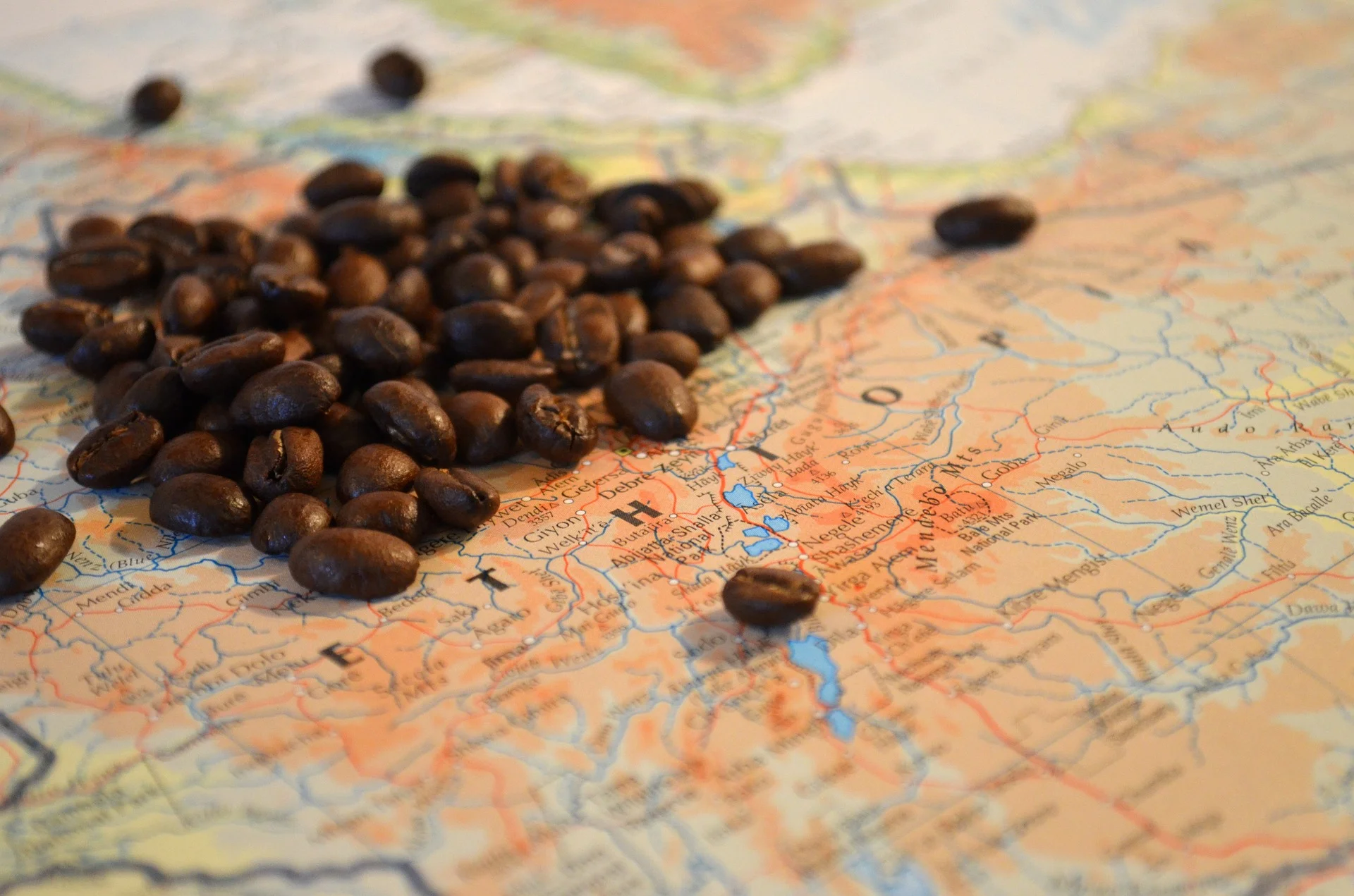 Coffee Capital of the World by John Iglar