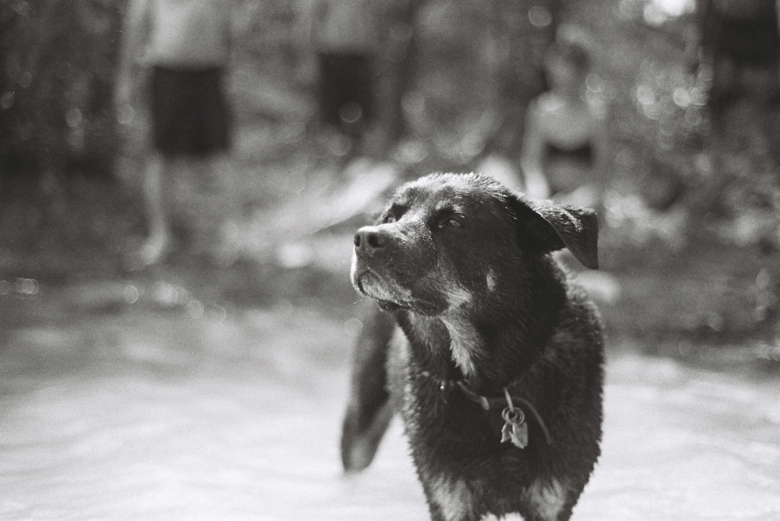 Document Name (edit)_1.JPG