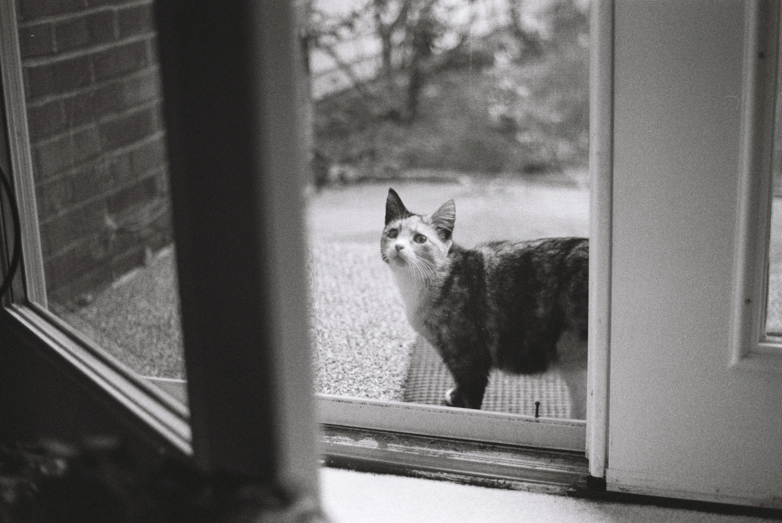 Document Name (edit).JPG