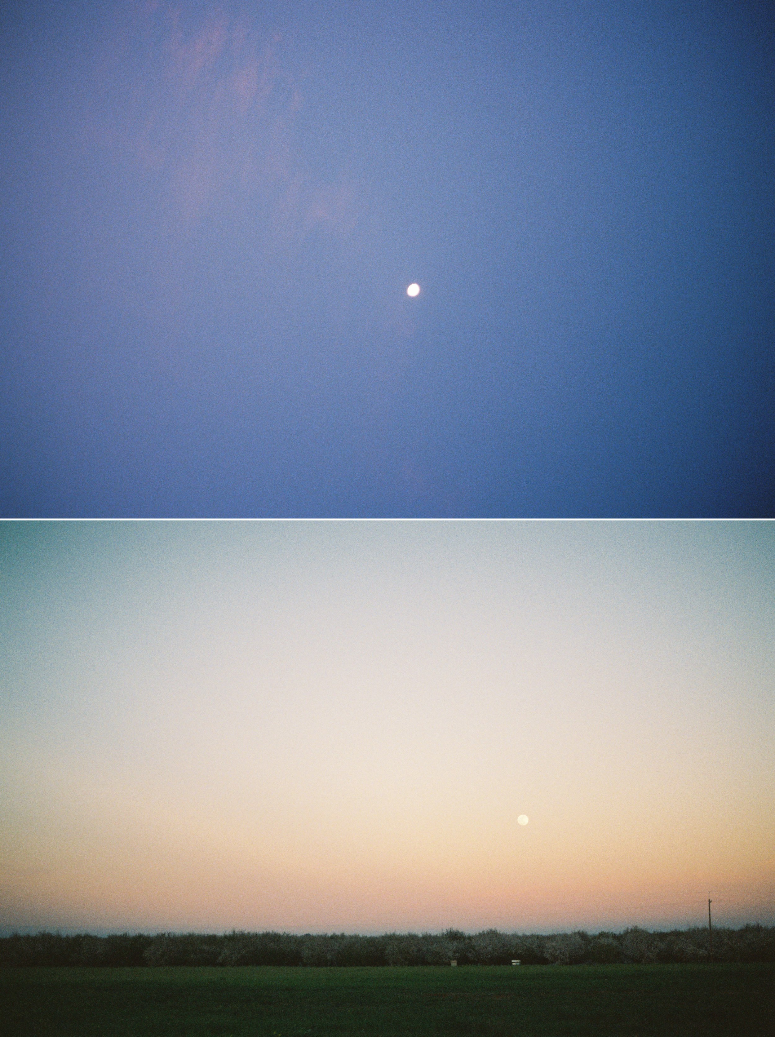 Day Moons