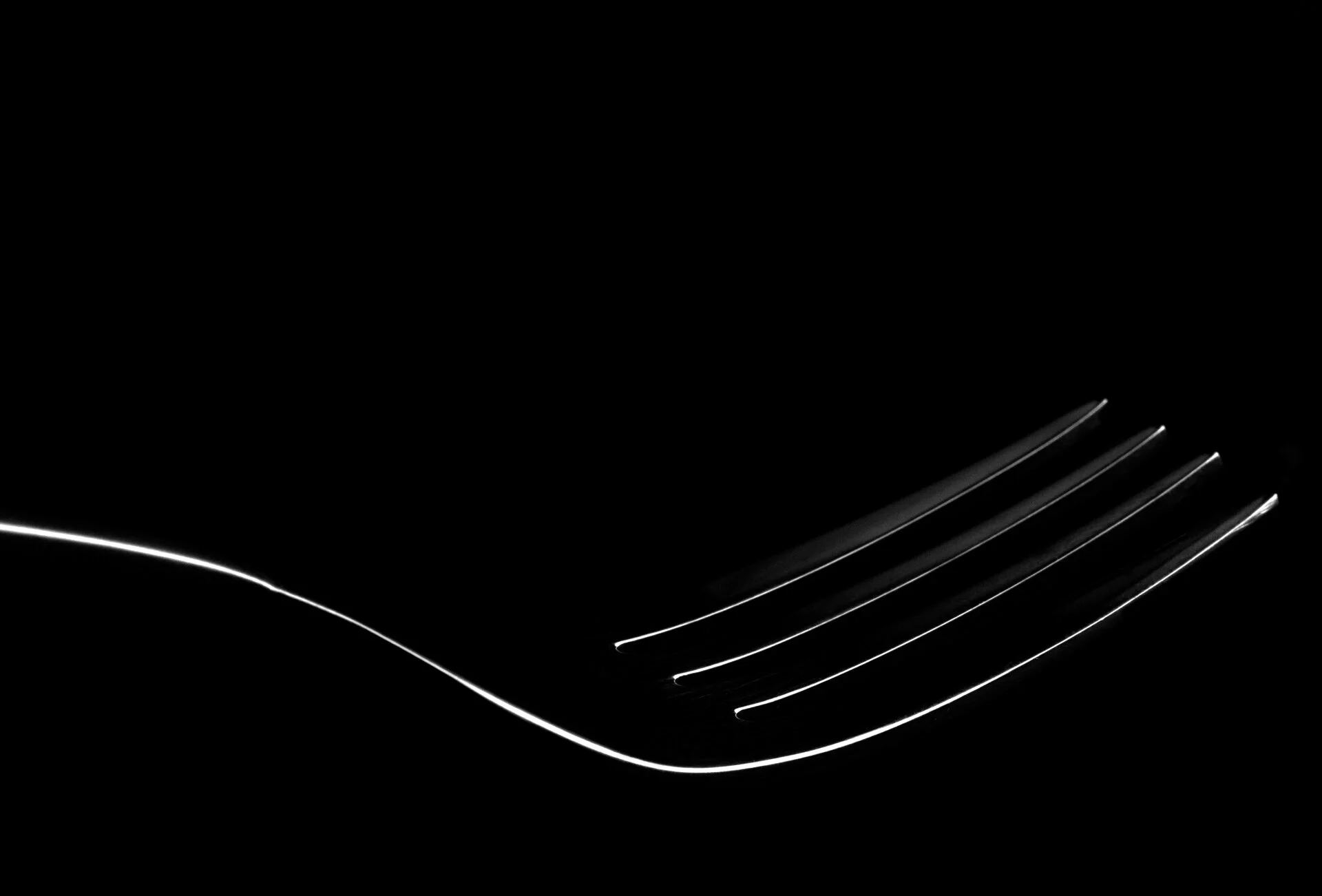 Still Life 04.jpg