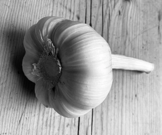 Minnerstrone (Not a Typo)