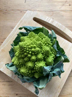 Jurassic Romanesco