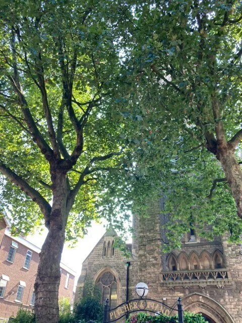 A Robin Hood Weekend II