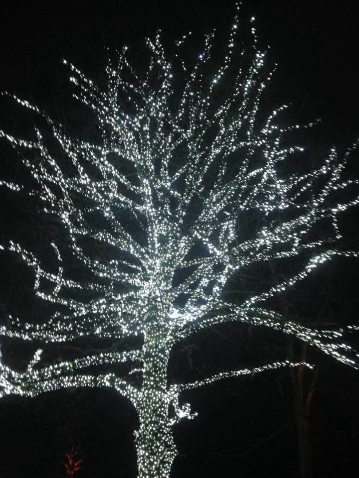 Winter Solstice