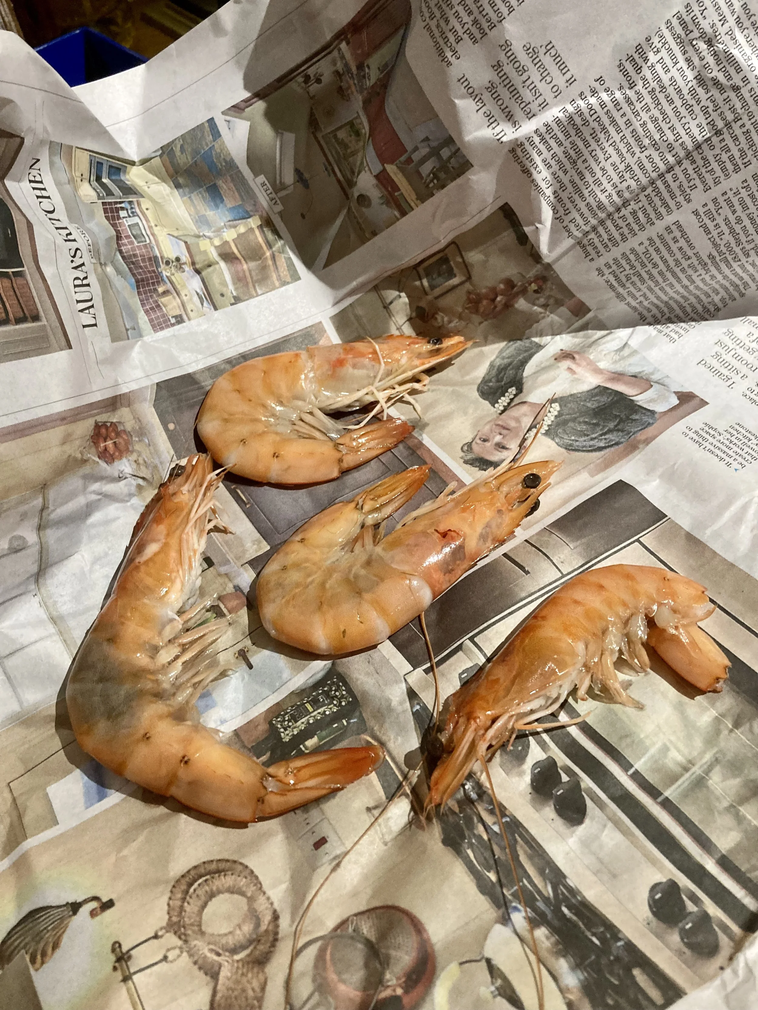 Shellfish On The Seashore