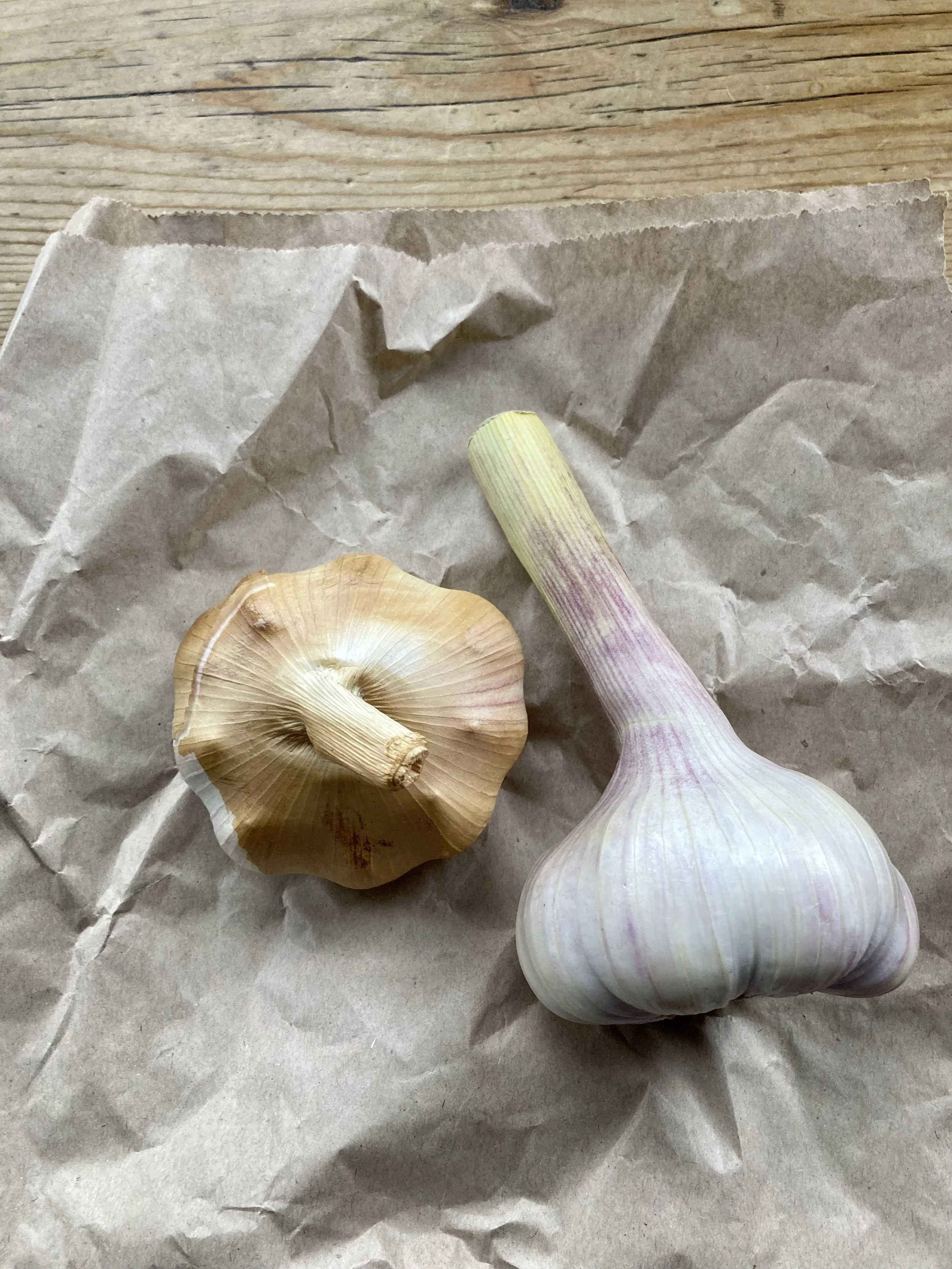 Garlic Soup