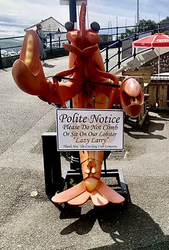 Shell Fish Reasons