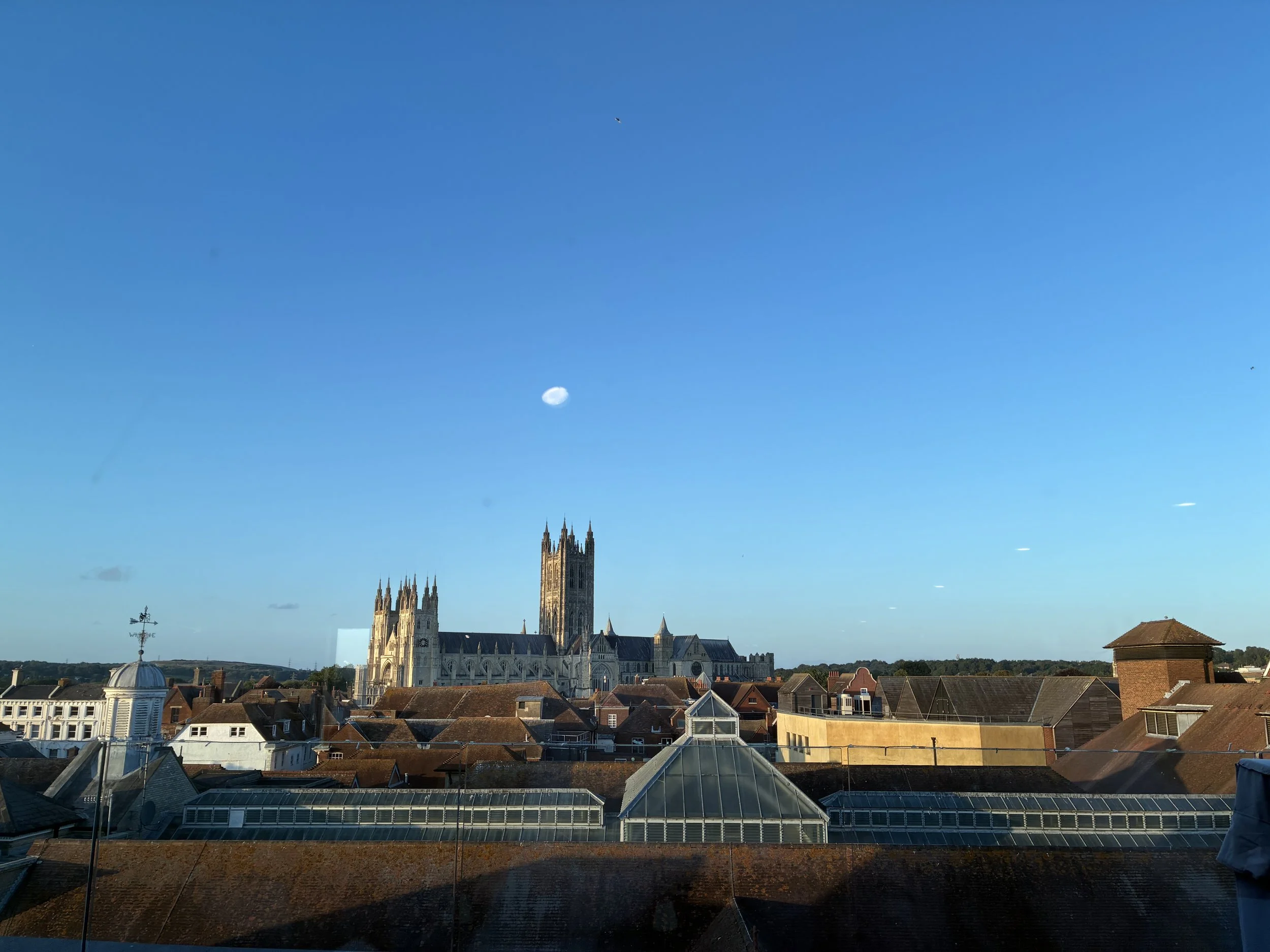  'Woe To The Cook Whose Sauce Has No Sting'