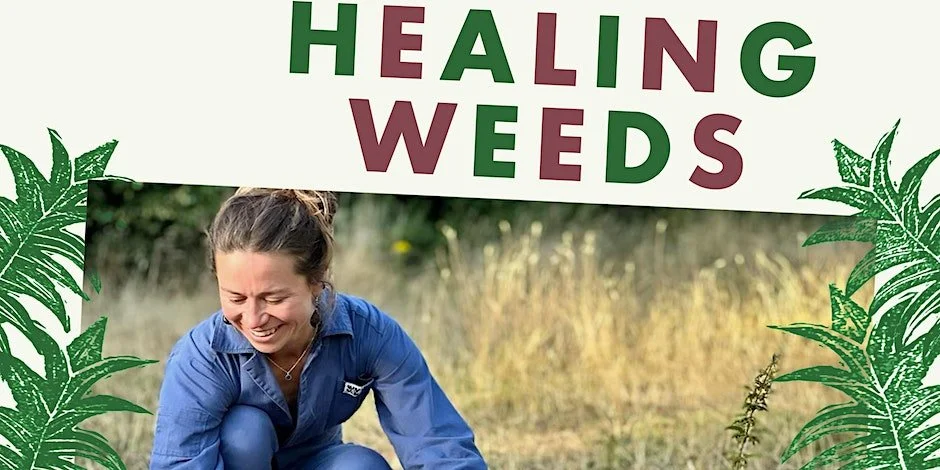 Foraging in Weston Super Mare - Gather Round : Sprout's Cafe